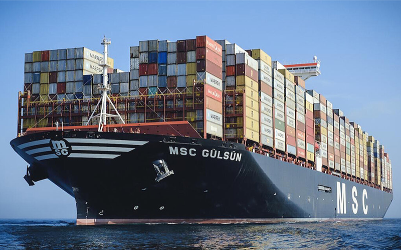 MSC
